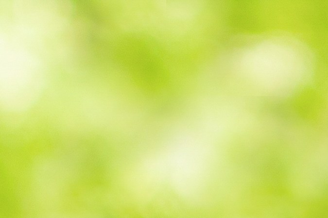 evitar la revocación de la licencia