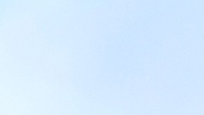 solicitud fraudulenta de la licencia de conducir