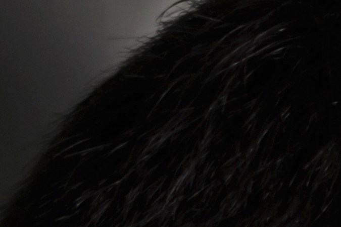 sanciones por conducir con licencia falsa