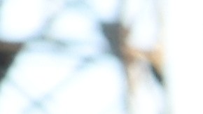 mejora del conductor en virginia