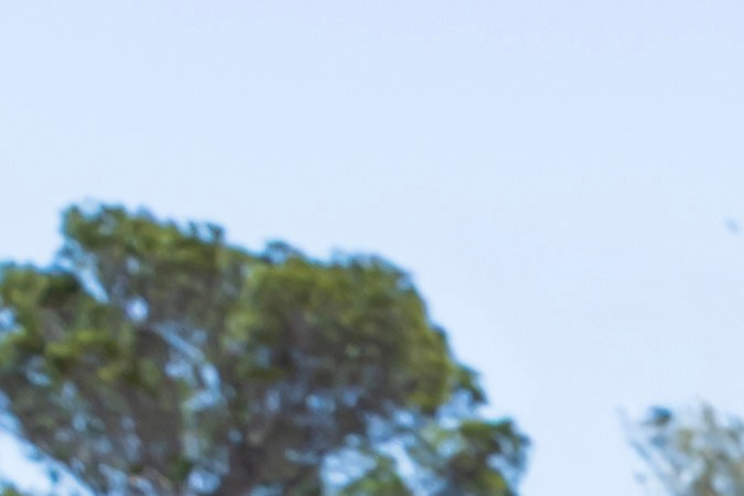 Mercedes-Maybach SL680 Monogram Series 2026 tiene un diseño único de patrones en algunas partes del auto.