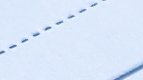 sanciones en otros estados de usa