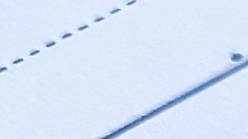 sanciones en otros estados de usa