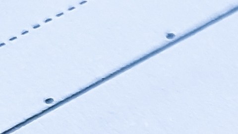 sanciones en otros estados de usa