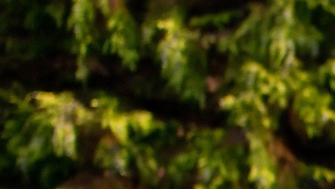 Ford Mustang seguirá teniendo motores a gasolina.