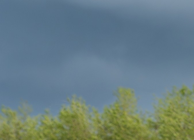 Rolls-Royce Phantom VI fue bastante usado por millonarios.