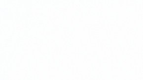 Con las señales de Stop, el vehículo debe detenerse por completo.