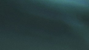 El uso correcto de la bocina en Estados Unidos: evita multas y accidentes