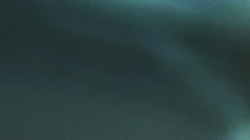 El uso correcto de la bocina en Estados Unidos: evita multas y accidentes