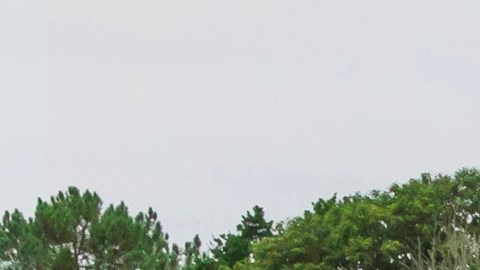 vehículo que se aproxima de frente