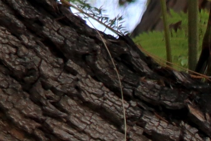 calle de un solo sentido