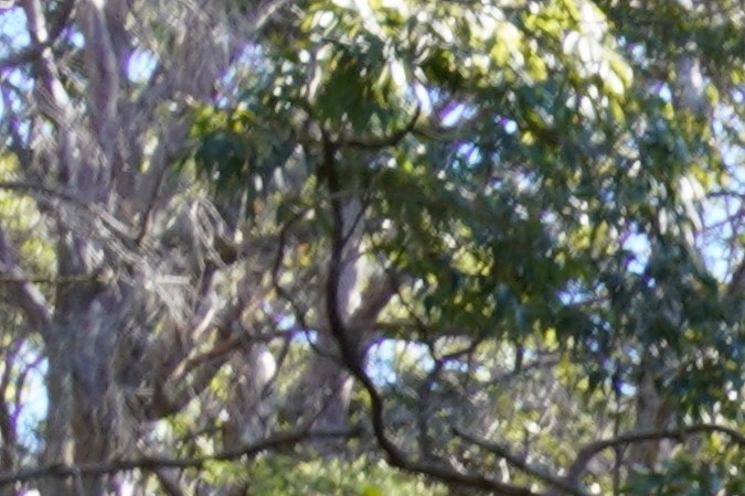 conduciendo por un carril equivocado