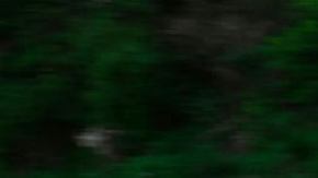 YangWang U9 Track Edition genera casi 3,000 caballos de fuerza.