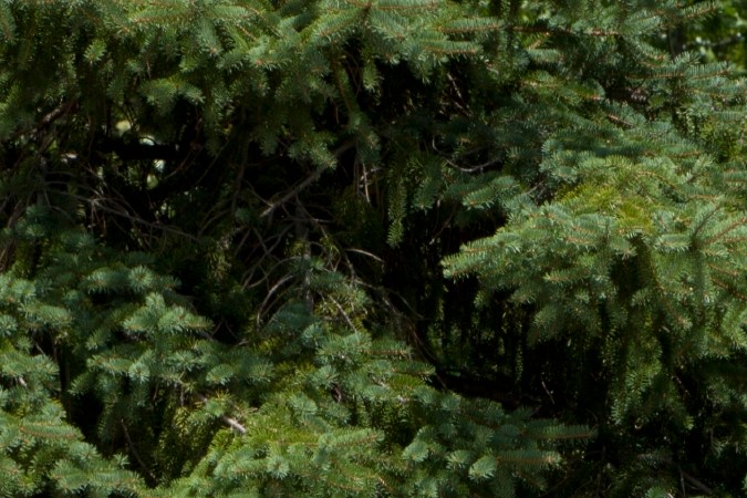 Toyota Tacoma y Jeep Cherokee: vehículos para reparaciones fáciles y baratas.