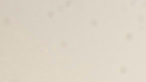 Por qué elegir una Double Cab para mayor espacio de carga