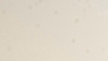 Por qué elegir una Double Cab para mayor espacio de carga