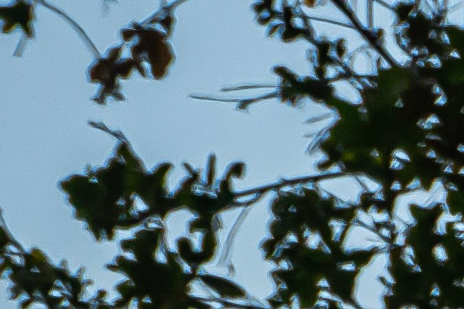 Nissan Murano 2026 tiene más diseño elegante.