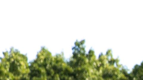 Ford F-150 Lightning STX tiene varias características para ofrecer aventuras fuera de la ciudad.