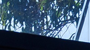 Descubre los mejores autos eléctricos usados para comprar en 2025 y ahorra sin sacrificar calidad.