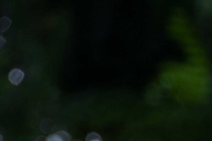 Nissan Sentra 2026 tiene un diseño de luces innovador.