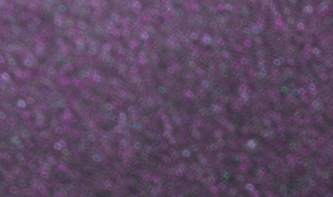 Nissan Z Heritage Edition 2026 rinde homenaje al modelo de 1989 300ZX.