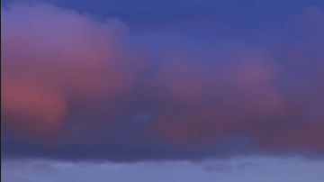 Audi RS 7 Performance se une a la flota de lujo de la Policía de Dubái.