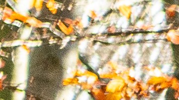 Top 10 autos de lujo más vendidos en lo que va de 2025