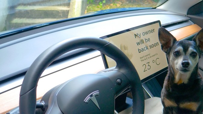 Mantén a tu mascota segura con Dog Mode y el control climático de Tesla.
