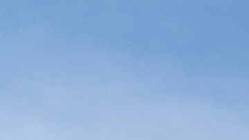 Qué problemas presenta la Ford Ranger: fallas más comunes