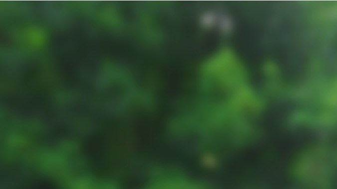 Proyecto IBIS de Stellantis busca mejorar la eficiencia de la batería.