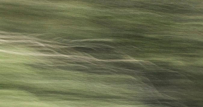 Problemas con la cámara de reversa en Ford: 1.5 millones de vehículos en riesgo.