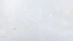 Mofles para autos: Guía para optimizar potencia y seguridad al conducir.