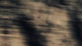 Polestar 5 2026: lujo nórdico y potencia supercar en un sedán