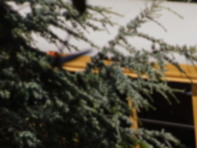 Zoox revoluciona la movilidad: prueba el transporte autónomo en EE.UU.