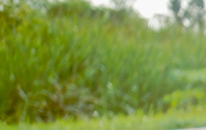 Muchos autos sufren de fuga de aceite de motor.