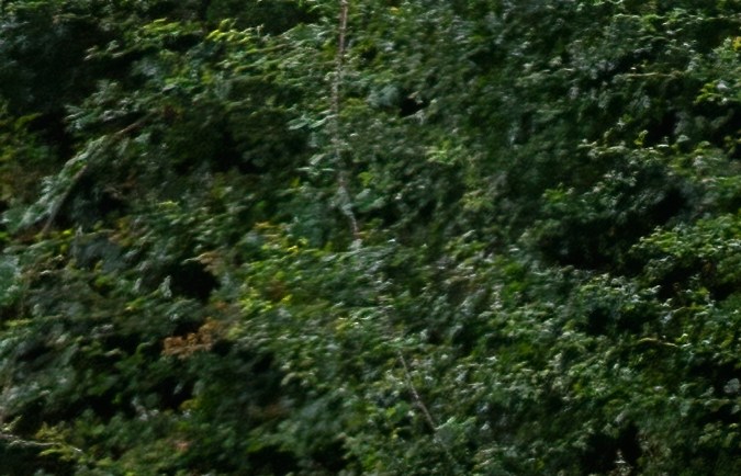 Alfa Romeo Tonale es uno de los más vendidos de la marca.