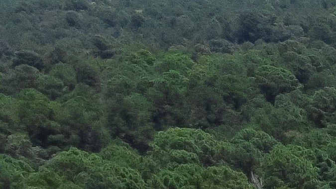 vista aérea de un área de descanso