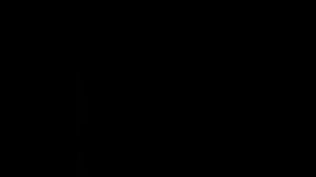 Muchos fabricantes se han enfocado en la producción de autos eléctricos.