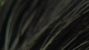 conductor con ayudas auditivas