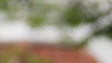 Mejores cargadores Nivel 2 para autos eléctricos: carga rápida en casa.