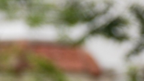 Mejores cargadores Nivel 2 para autos eléctricos: carga rápida en casa.