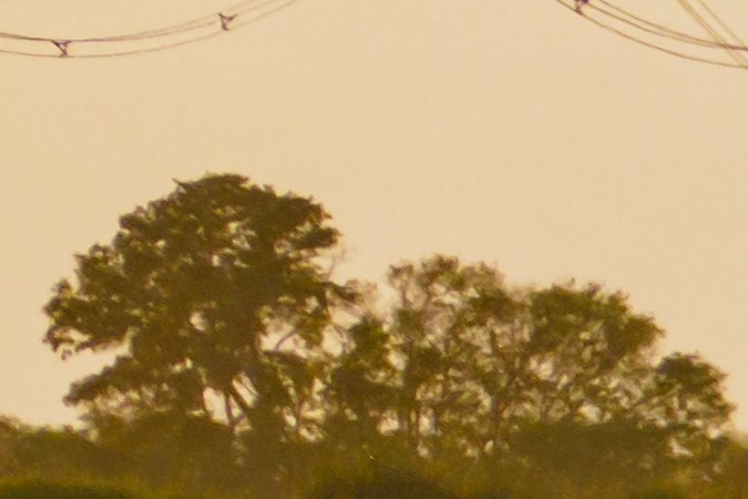 carreteras de acceso limitado