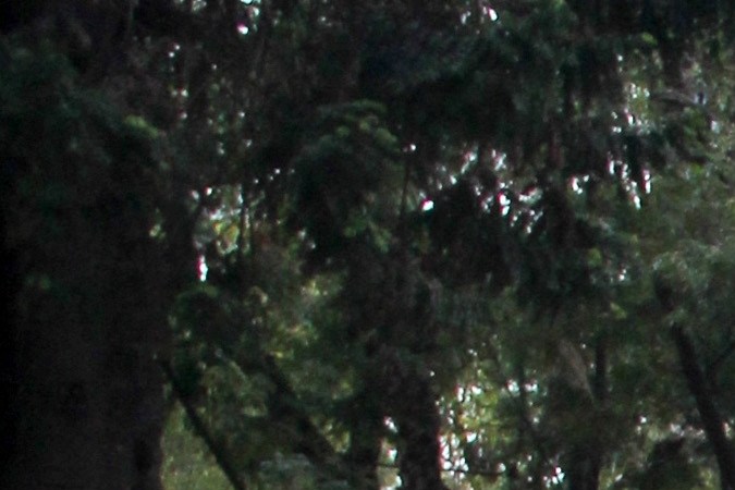 ciclovía para ciclistas