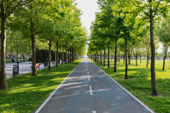 ciclovía en parque