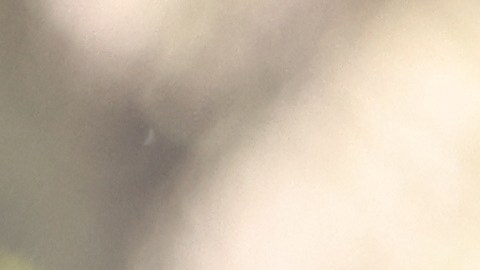 volante con una sola mano