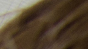 conductor acompañante