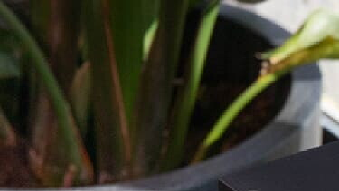 Pirelli Cyber Tyre es la nueva tecnología de rendimiento.