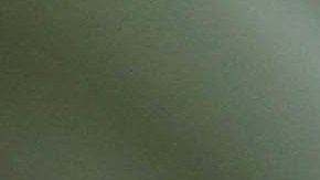 designaciones en la licencia de conducir de florida