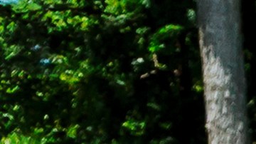 desvío en la carretera