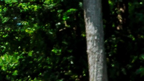 desvío en la carretera